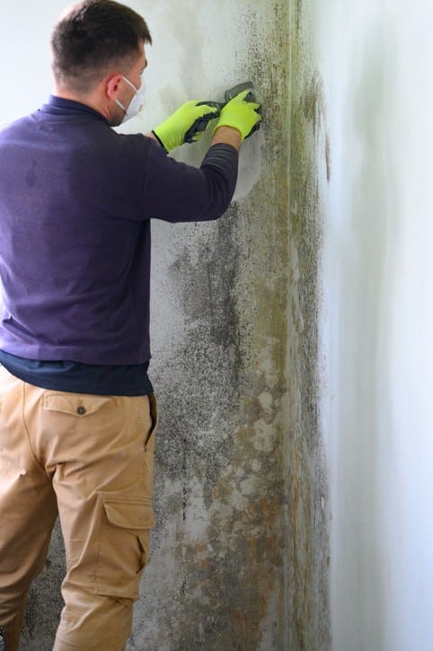 רטיבות קפילארית